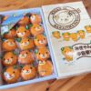 日本愛媛縣蜜柑