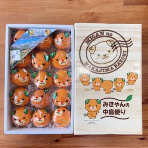 日本愛媛縣蜜柑