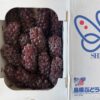 日本島根珍珠葡萄