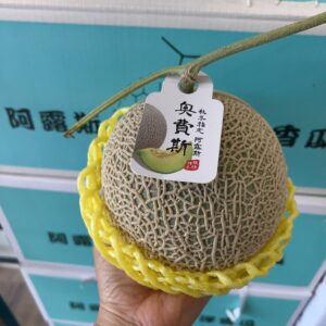 阿露斯哈密瓜