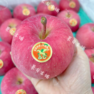 日本青森 套袋蘋果