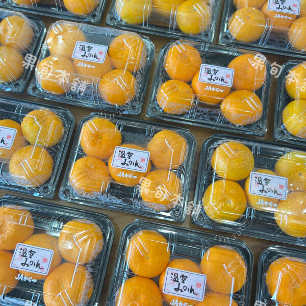 佐賀蜜柑
