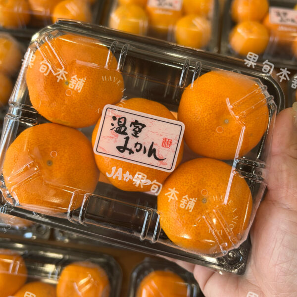 佐賀蜜柑