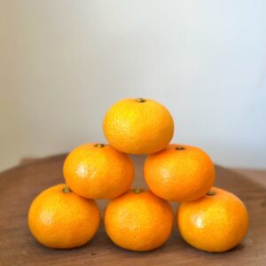 佐賀蜜柑