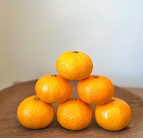 佐賀蜜柑