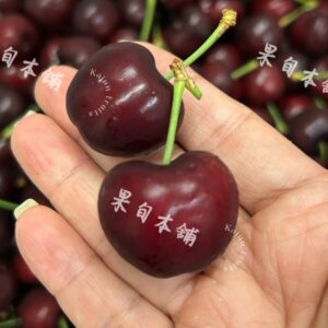 加州空運紅櫻桃9R
