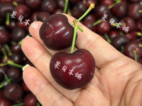 加州空運紅櫻桃9R