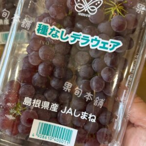 日本島根珍珠葡萄PE盒裝