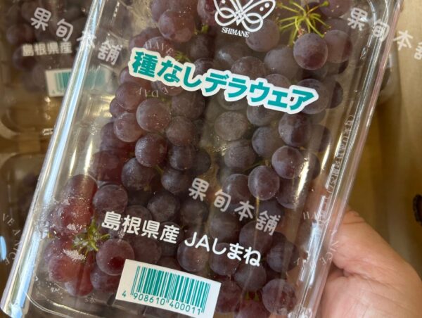 日本島根珍珠葡萄PE盒裝