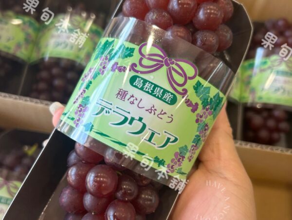日本島根珍珠葡萄 200g/串