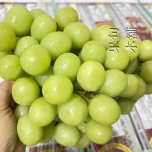 祕魯秋脆・巨大果實 每房