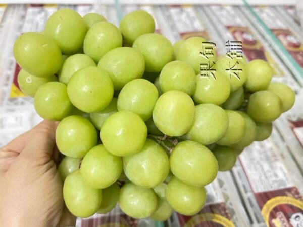 祕魯秋脆・巨大果實 每房