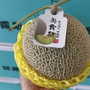 阿露斯哈密瓜