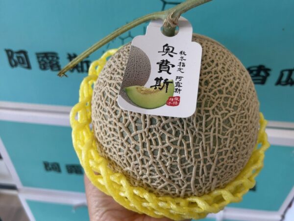 阿露斯哈密瓜
