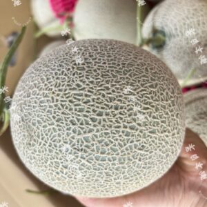 香華綠肉哈密瓜