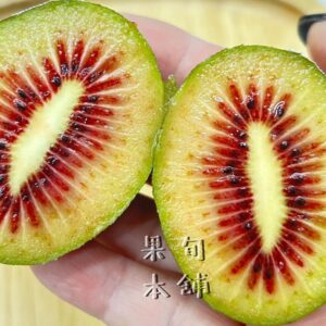紐西蘭紅寶石紅心奇異果