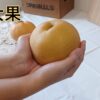 甘露梨