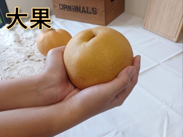甘露梨