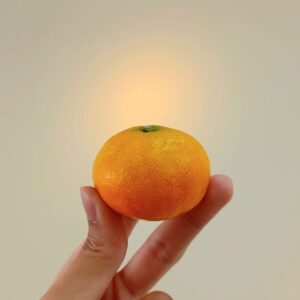 佐賀蜜柑