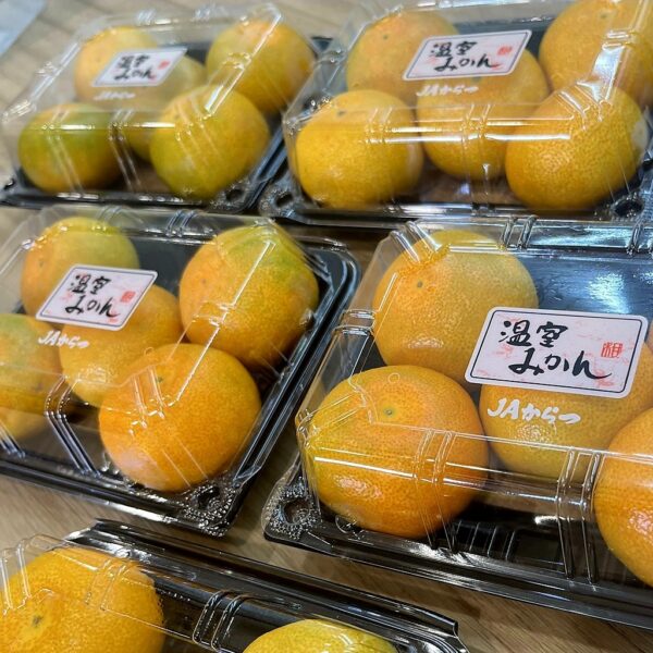 佐賀蜜柑