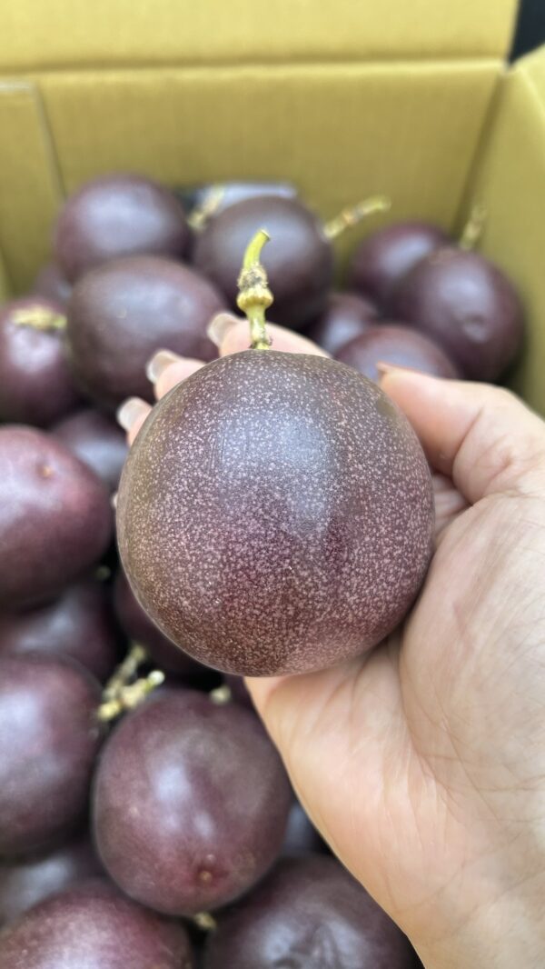 埔里百香果 10顆