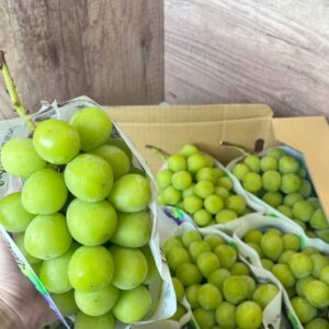 日本山梨麝香葡萄 610-640g