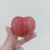 恐龍蛋