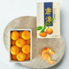 日本唐津蜜柑 12顆/盒