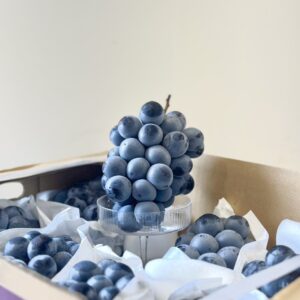 山梨貓眼葡萄