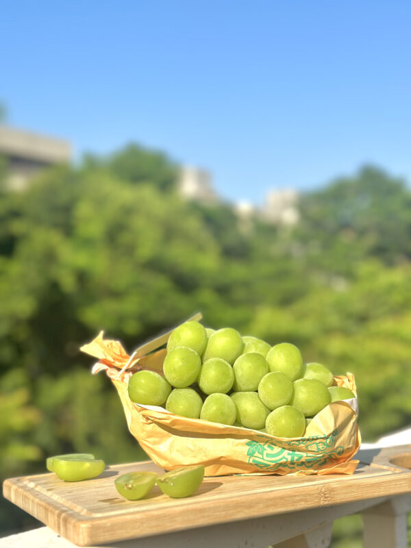 長野麝香葡萄
