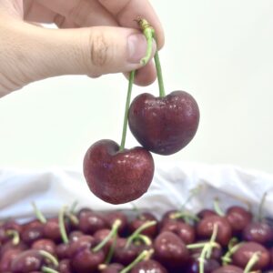 美國華盛頓紅櫻桃