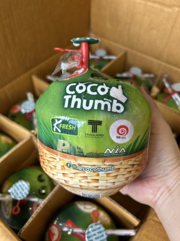 酷可椰 中