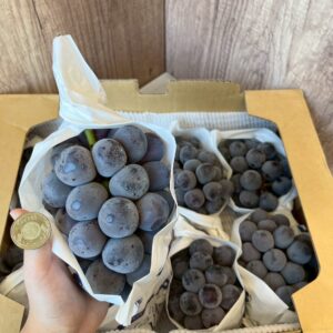 岡山貓眼葡萄 630-670g/房