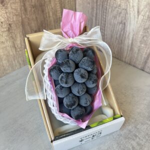 日本紫葡萄禮盒