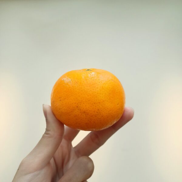 澳洲茂谷柑