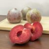 蜥蜴蛋李