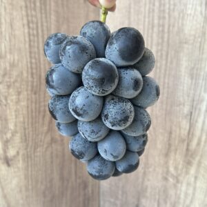 長野紫葡萄 640g/房
