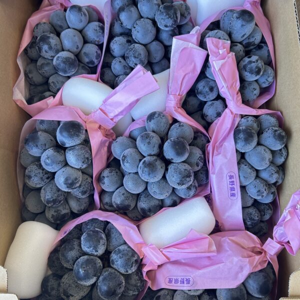 長野紫葡萄 640g/房