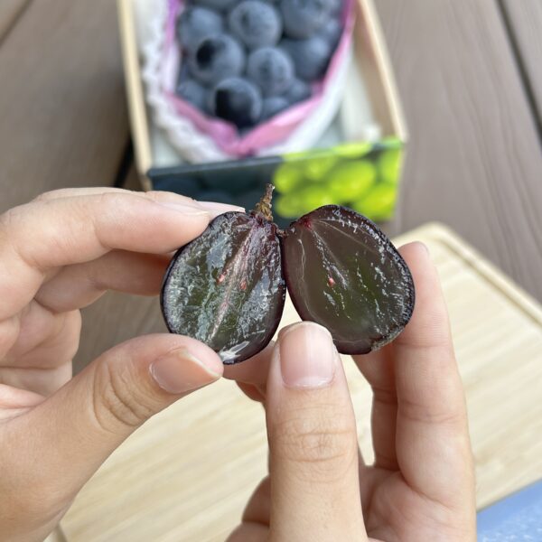 長野紫葡萄 640g/房