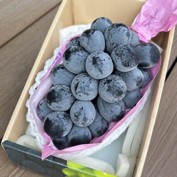 長野紫葡萄 640g/房